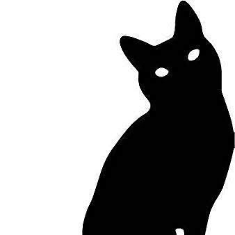 Fundkater NR-Rodenbach, EKH – Tierheim Neuwied – Ludwigshof